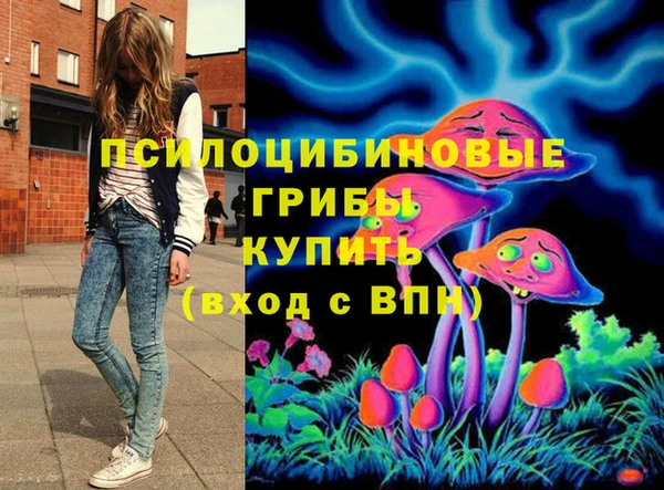 хмурый Медвежьегорск