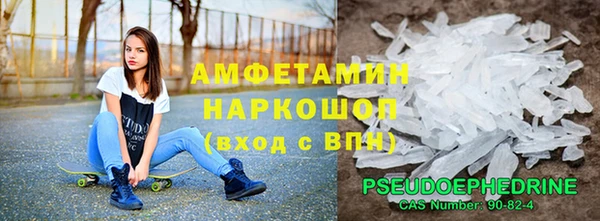 гидра Новозыбков